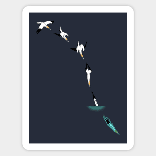 Northern Gannet Sticker